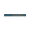 Cisco WS-C3560-24TS-S 24-Port 100Mbps RJ45 Desktop Specialty Switch, Blue (Scratch and Dent)