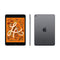 Apple iPad Mini %th Gen A2133 7.9" Tablet 64GB WiFi, Space Gray No Chrgr Grade B (Used - Good)