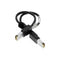 LEONI L45593-E103-D5 2' Network Cable (Black) (Certified Refurbished)