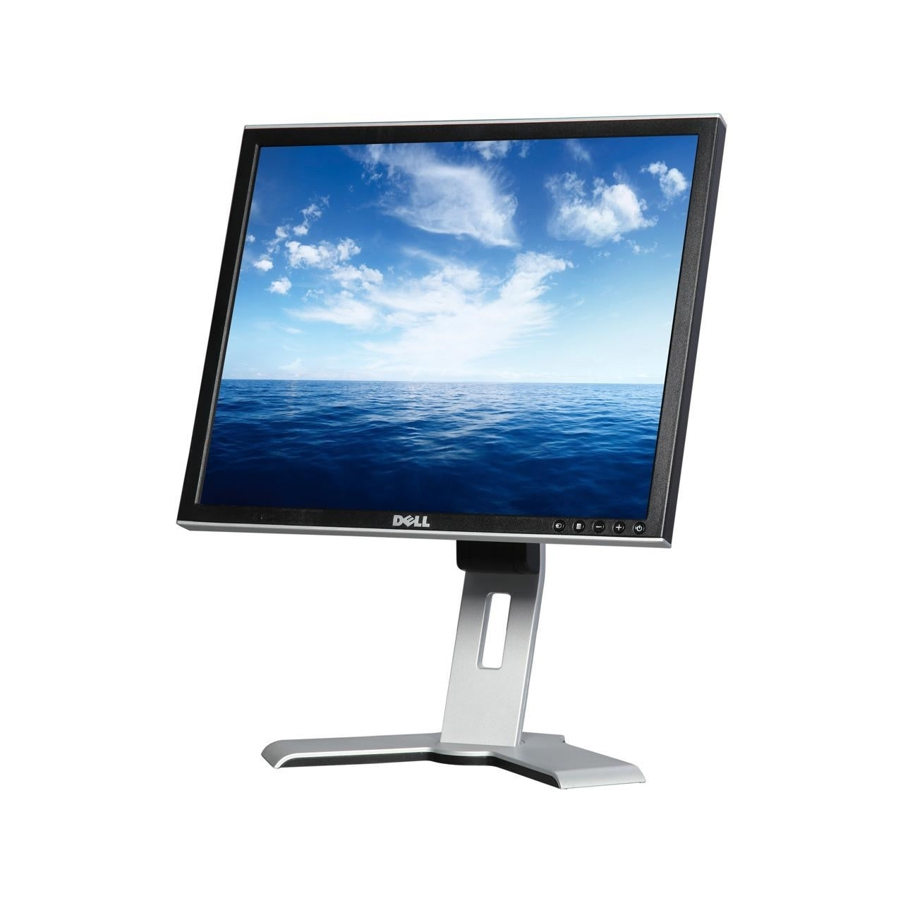 Dell 1907FPT 19