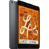Apple iPad Mini %th Gen A2133 7.9" Tablet 64GB WiFi, Space Gray No Chrgr Grade B (Used - Good)